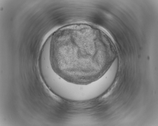 X0000073751149200608311929