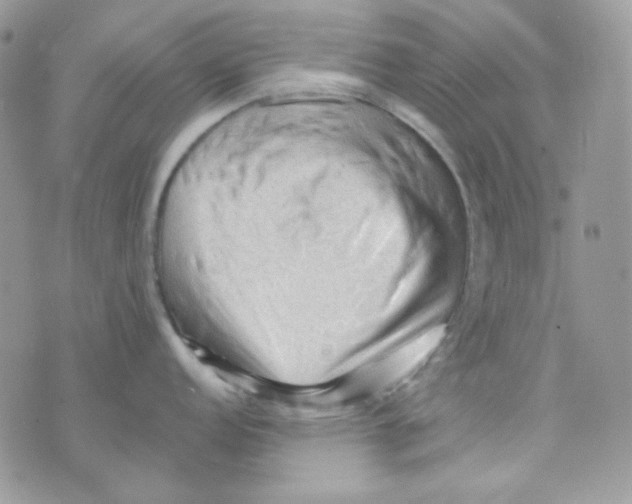 X0000073751152200608311929