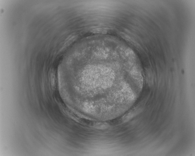 X0000073751154200608311928