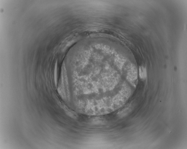 X0000073751155200608311928