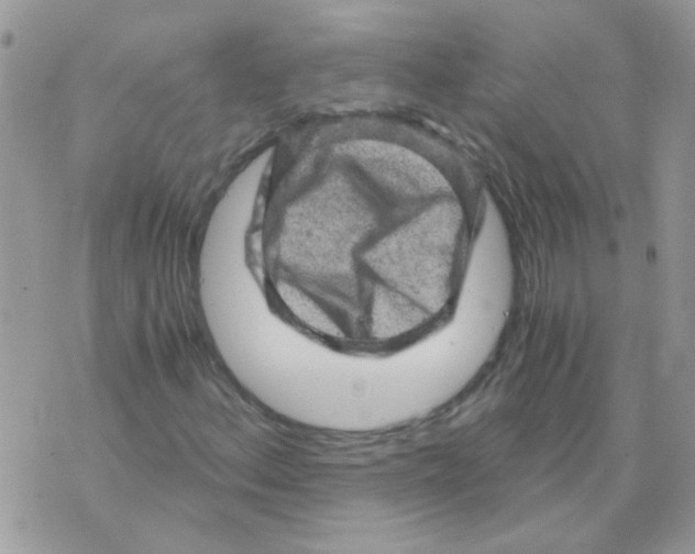 X0000073751156200608311928