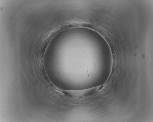 X0000073751157200608311928