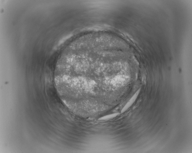 X0000073751158200608311928