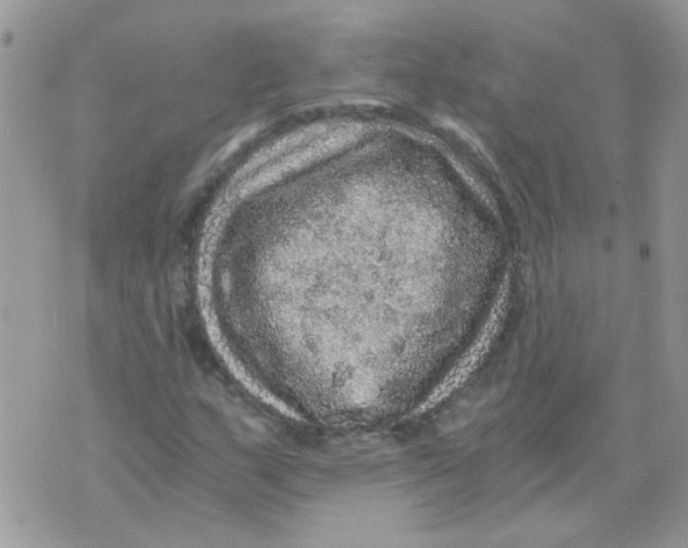 X0000073751159200608311928