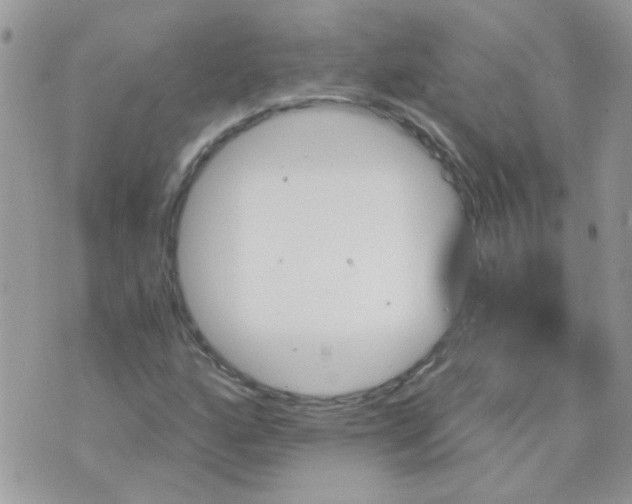 X0000073751160200608311928