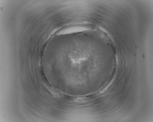 X0000073751161200608311928