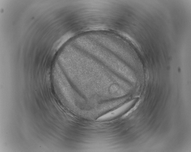 X0000073751162200608311928