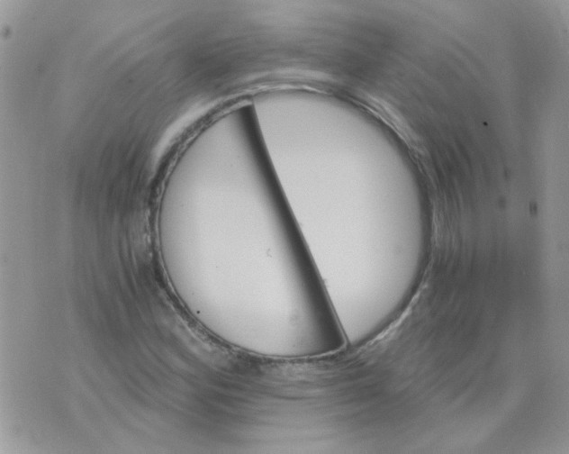 X0000073751164200608311928