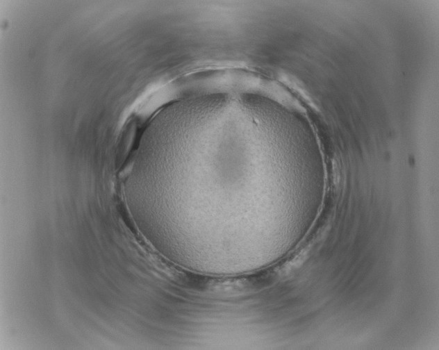 X0000073751165200608311928