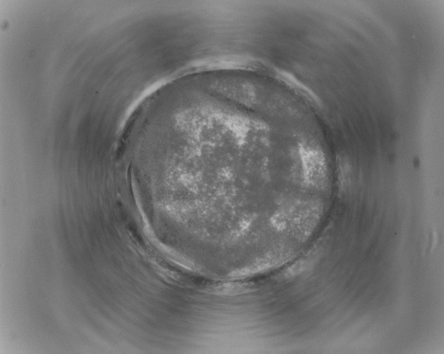 X0000073751166200608311928