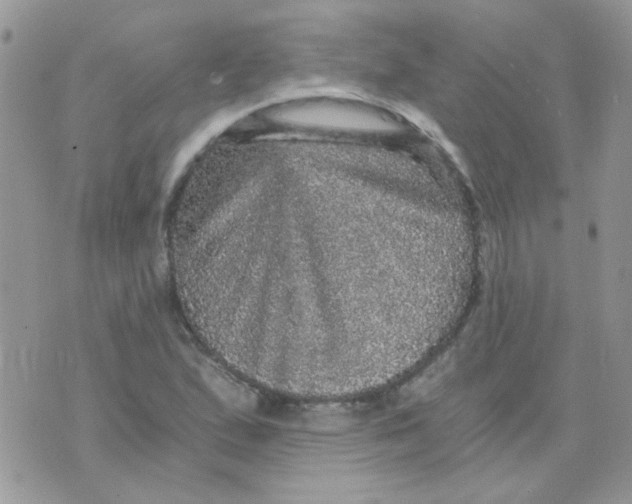 X0000073751167200608311928