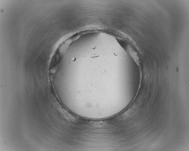 X0000073751168200608311928