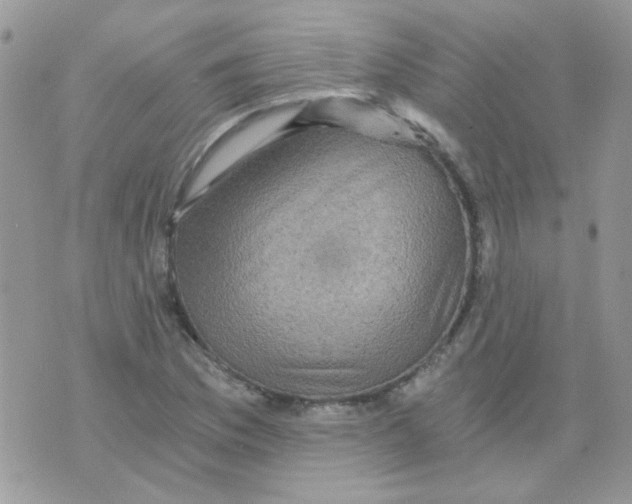 X0000073751169200608311928