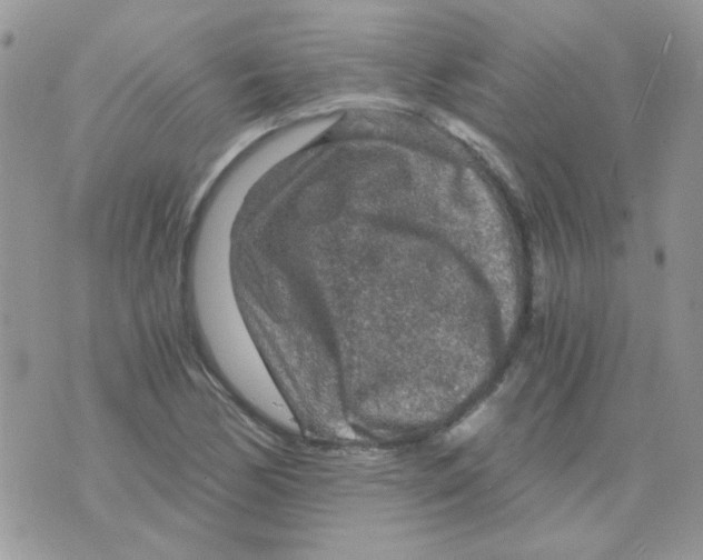 X0000073751170200608311928