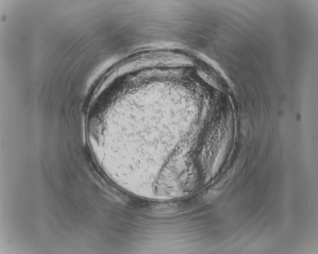 X0000073751171200608311928