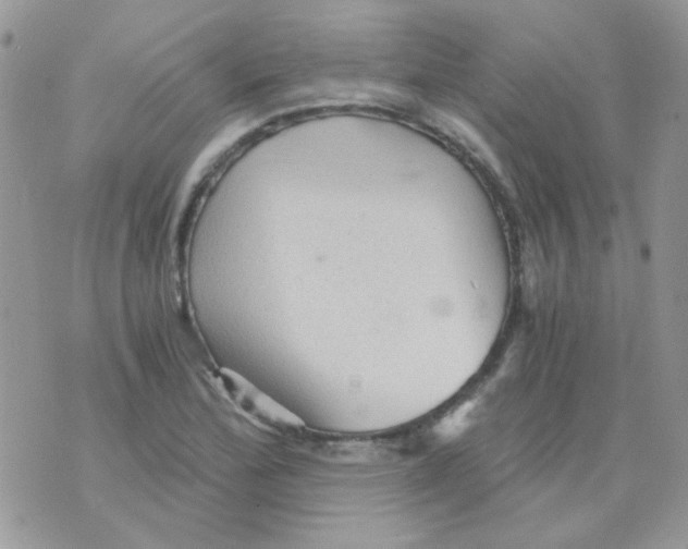 X0000073751172200608311928