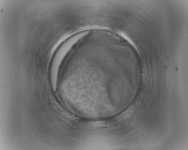 X0000073751173200608311928