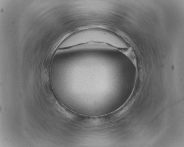 X0000073751177200608311928