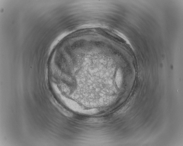 X0000073751179200608311928