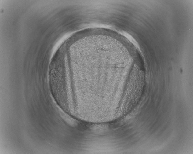 X0000073751183200608311927