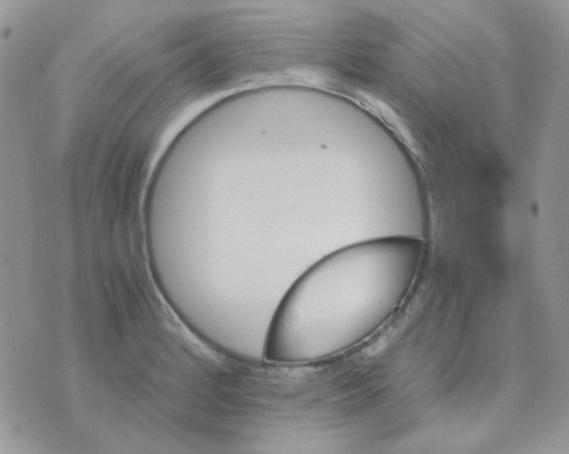 X0000073751184200608311927