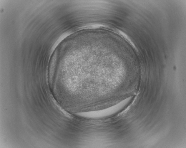 X0000073751186200608311927