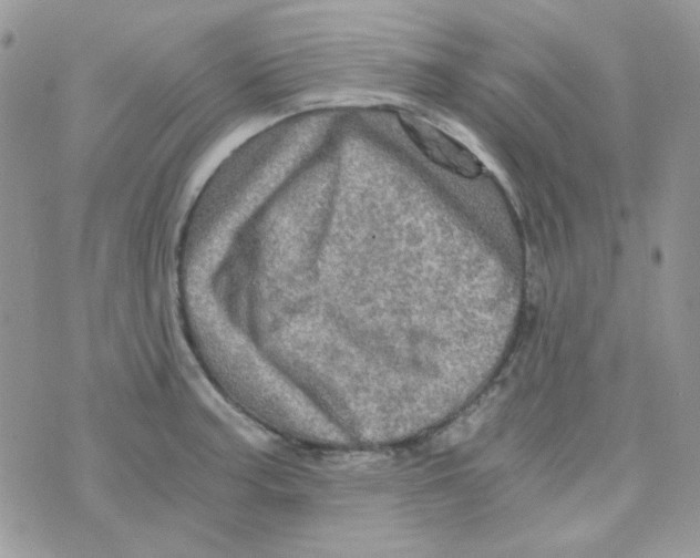 X0000073751187200608311927