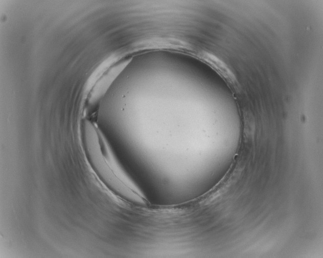 X0000073751188200608311927