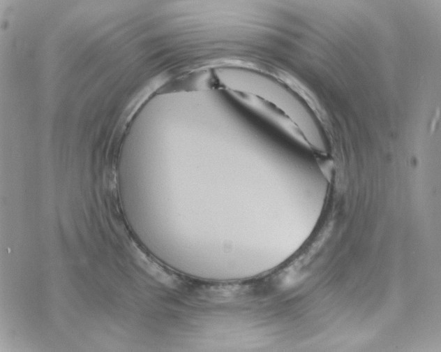 X0000073751193200608311927