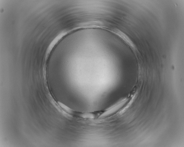 X0000073751196200608311927