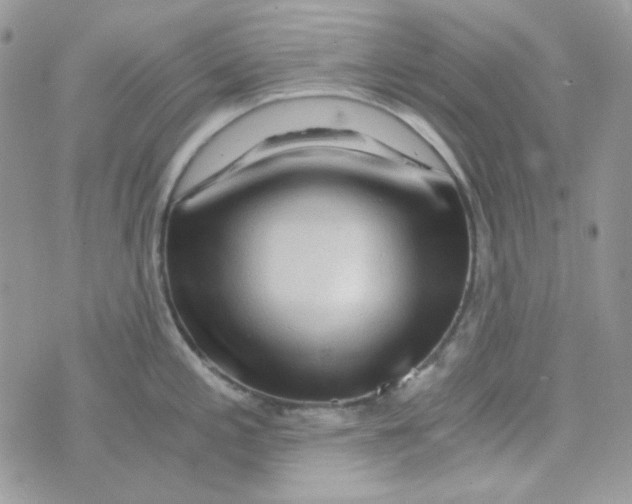 X0000073751197200608311927