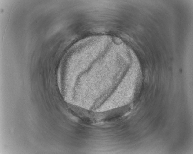 X0000073751201200608311926