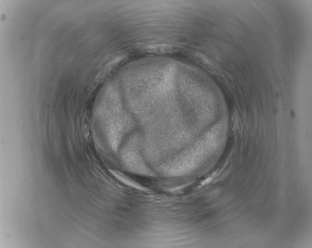 X0000073751202200608311926