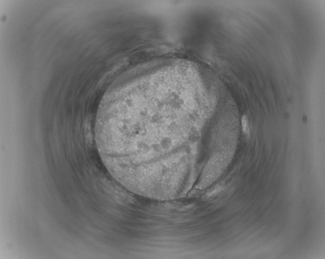 X0000073751203200608311926