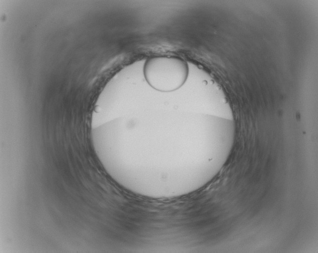 X0000073751205200608311926