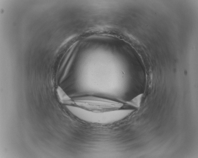 X0000073751206200608311926