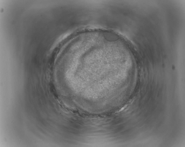 X0000073751207200608311926