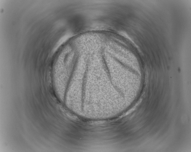 X0000073751211200608311927