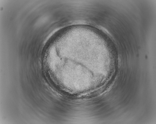 X0000073751212200608311927