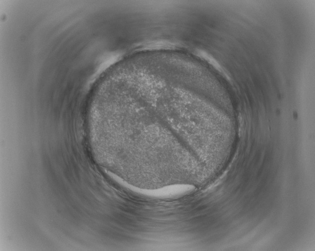 X0000073751213200608311927