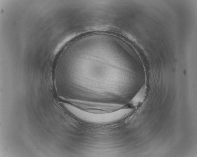 X0000073751214200608311927