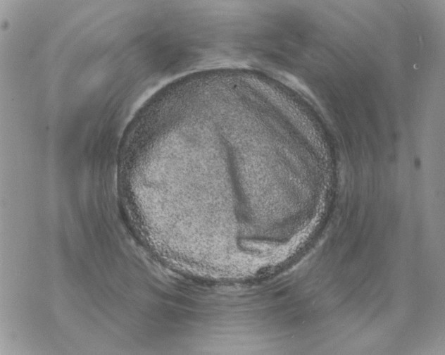 X0000073751220200608311927