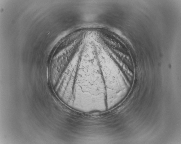 X0000073751221200608311927