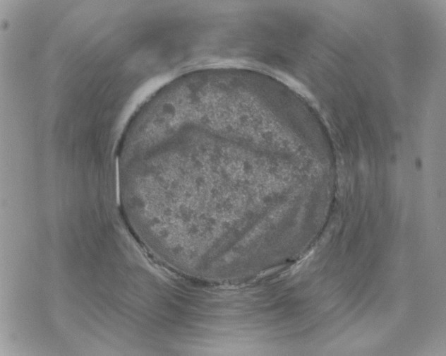 X0000073751223200608311927