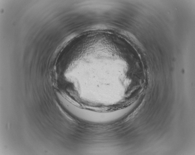 X0000073751225200608311927