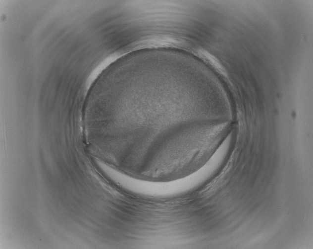 X0000073751226200608311927