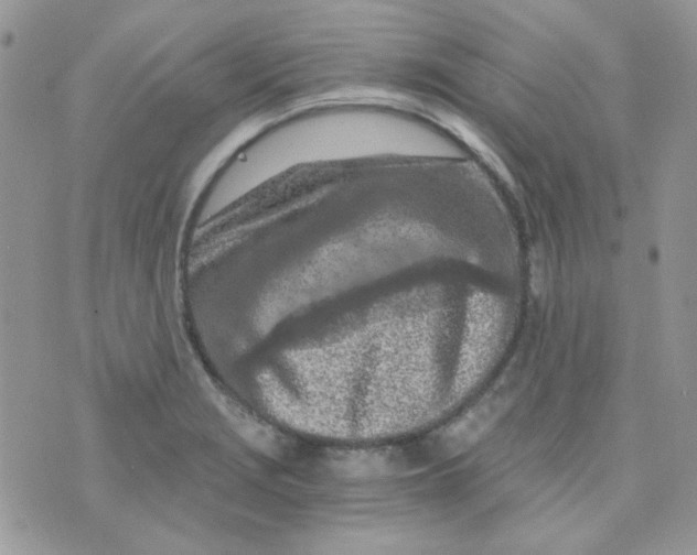 X0000073751229200608311927