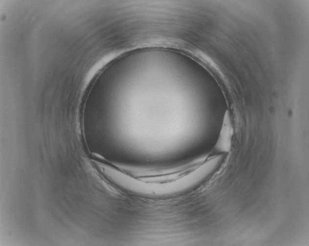 X0000073751230200608311927