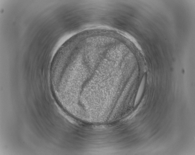 X0000073751231200608311927