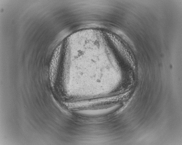 X0000073751233200608311927